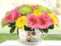 Ferns N Petals: Birthday Delights Starting At AED 149