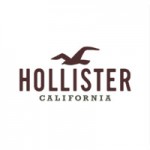 Click to Open Hollister Store